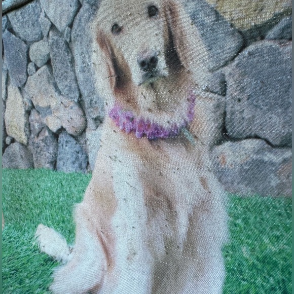 Dog Purse - Picture 2 of 4